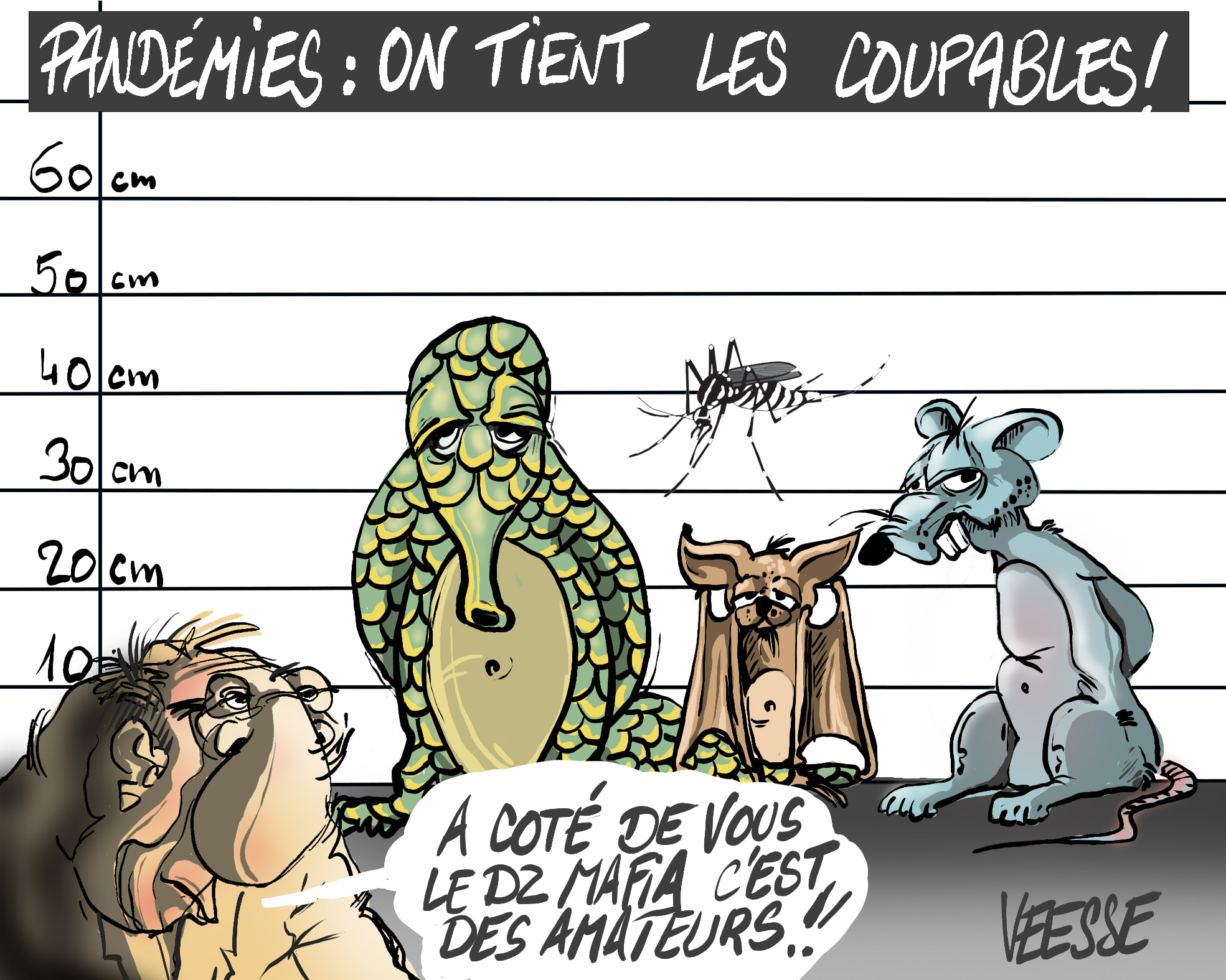 Les coupables !